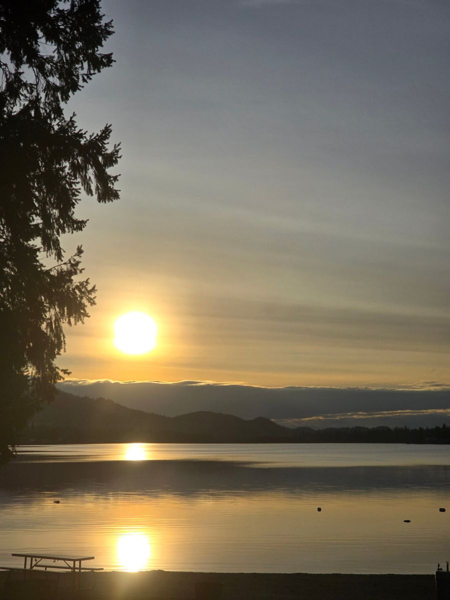 Sun rising over the lake past a pine tree and picnic table